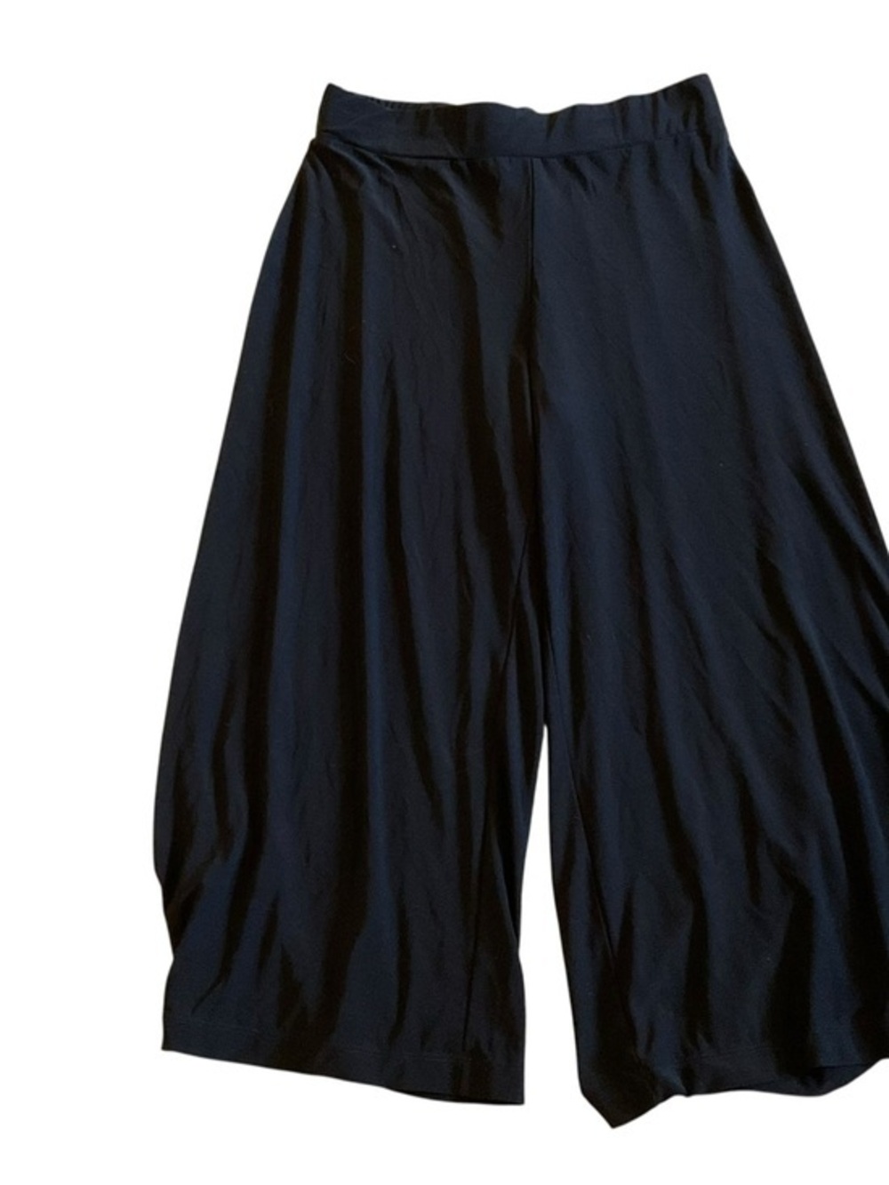 Elementz Black Wide-Leg Palazzo Pants